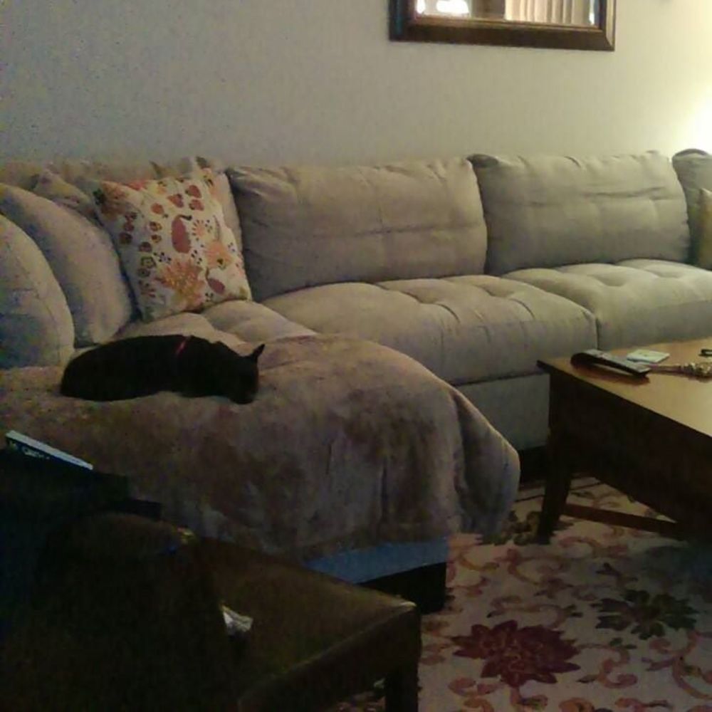 Meet your Posher, Cathy